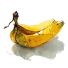 Fruits