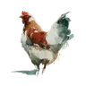 Poultry